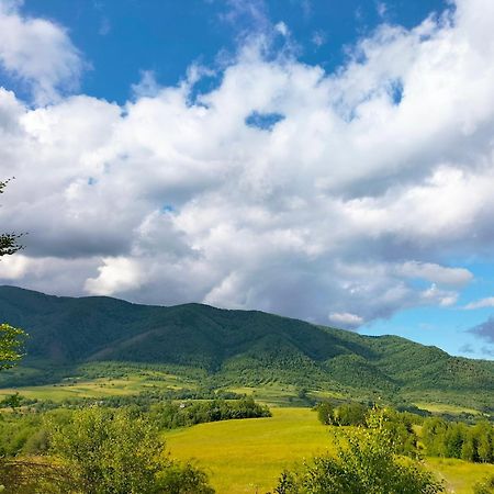 "Бджілка" І " Садиба Для Відпочинку" Lyuta Exteriér fotografie